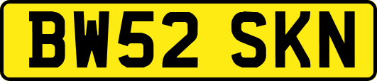 BW52SKN