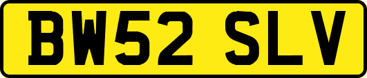 BW52SLV