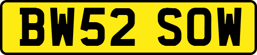 BW52SOW