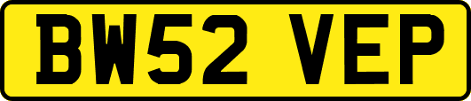 BW52VEP