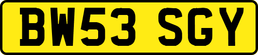 BW53SGY