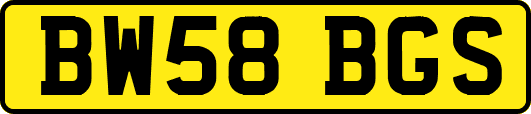 BW58BGS