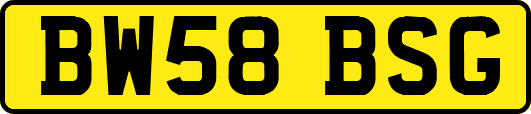 BW58BSG