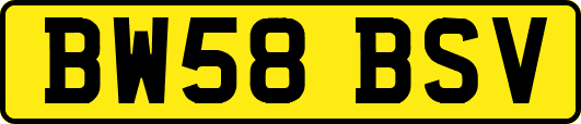 BW58BSV