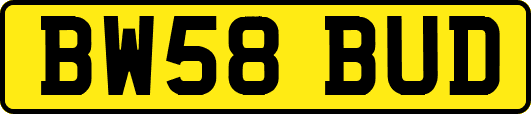 BW58BUD