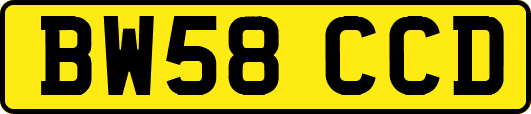 BW58CCD