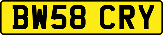 BW58CRY