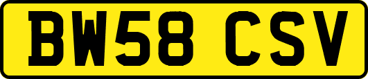BW58CSV