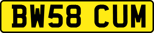 BW58CUM