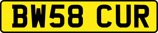 BW58CUR