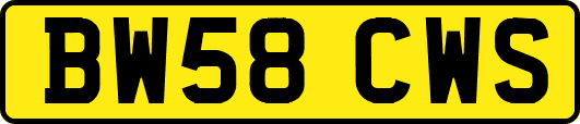 BW58CWS