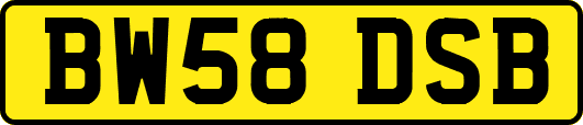 BW58DSB