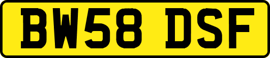 BW58DSF