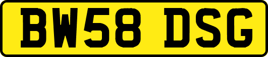 BW58DSG