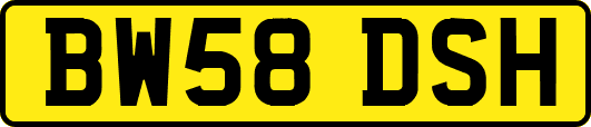 BW58DSH