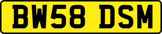 BW58DSM