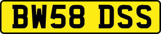 BW58DSS