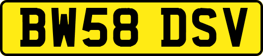 BW58DSV