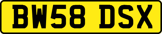 BW58DSX