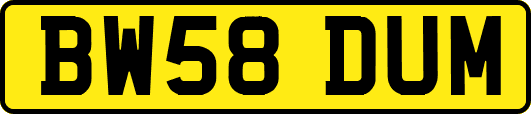 BW58DUM