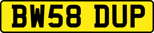 BW58DUP