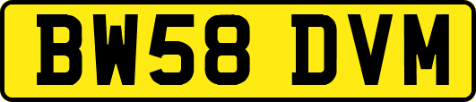 BW58DVM