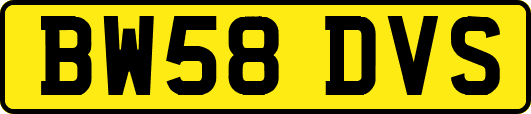 BW58DVS