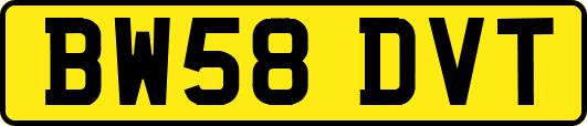 BW58DVT