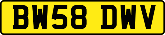 BW58DWV