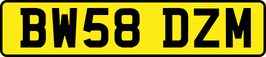 BW58DZM