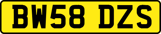 BW58DZS