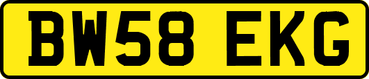 BW58EKG