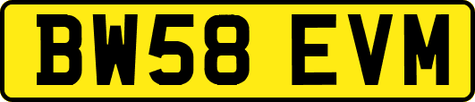 BW58EVM