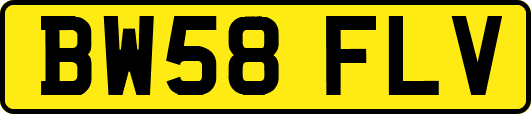BW58FLV