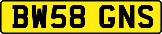 BW58GNS