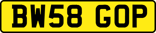 BW58GOP