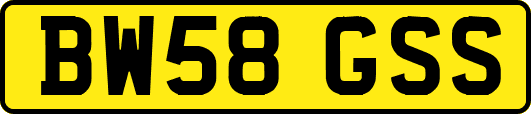 BW58GSS