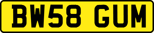 BW58GUM