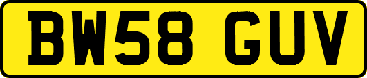 BW58GUV
