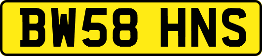 BW58HNS