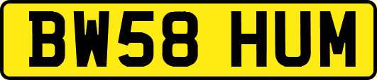 BW58HUM