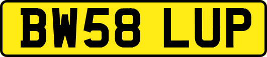 BW58LUP