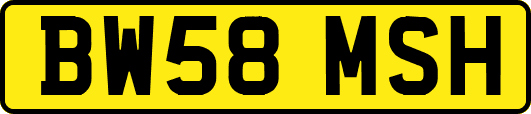 BW58MSH