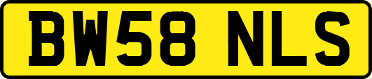 BW58NLS