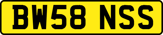 BW58NSS