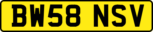 BW58NSV
