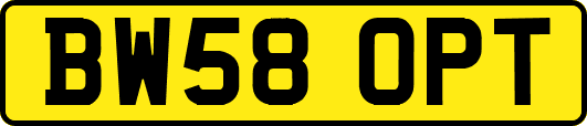 BW58OPT