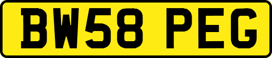 BW58PEG
