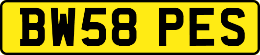 BW58PES