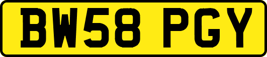 BW58PGY